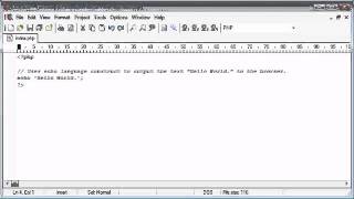 Beginner PHP Tutorial - 13 of 200 - comments (www.dynamicwebart.com)
