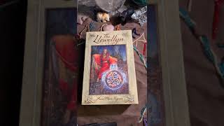 The Llewellyn Tarot by AnnaMarie Ferguson