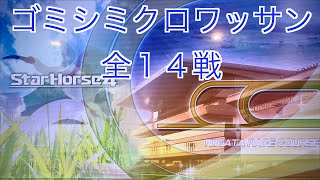 【スターホース４】　ー 547頭目ー　ゴミシミクロワッサン　全14戦　※543頭目のゴミシミサモアリナンと、546頭目のゴミシミウユニエンコとの次世代馬です(生産は血統表生産P2C6)。