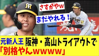 阪神を戦力外になった元新人王がトライアウトに登場！「別格やんｗｗ」さすがの実力を披露する！