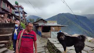 Sikles Kaski - Virtual Walking Tour around the Village - Walking Nepal