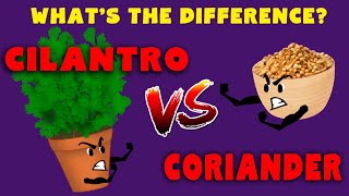 CORIANDER vs CILANTRO - What's the difference? Define Cilantro