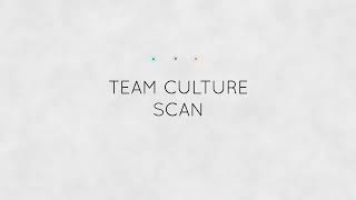 Team Culture Scan | The Culture Factor Group