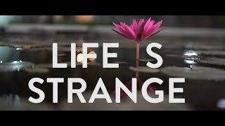 IIM Ahmedabad - Life Is Strange