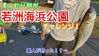 おっさんの釣り修行13  素人釣り部【若洲海浜公園】