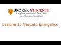 Broker Vincente - Lezione 1: Mercato Energetico