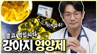 강아지 영양제 효과없다. 강아지 영양제 무엇을 먹여야 하나? 강아지 영양제 선택기준