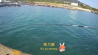 澳仔漁港 釣況分享 Wild fishing in Taiwan. [嘟嘟釣魚狂#192] 2022/09/06,08