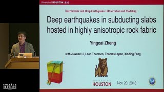 Intermediate and Deep Earthquakes: Observations and Modeling (13) - Barbara Romanowicz (2018-2019)