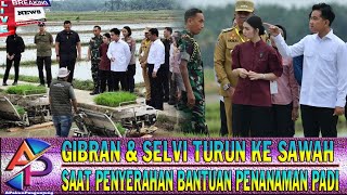 👍🔥GIBRAN \u0026 SELVI Turun Ke Persawahan Saat Penyerahan Bantuan🔥👍