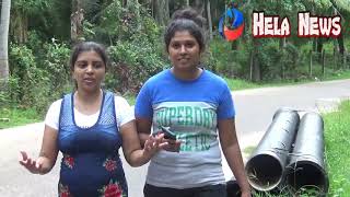 Helanews සත්‍ය සොයා - මහපාරේ ජරමර