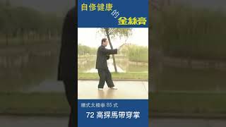 趙幼斌   太極拳85式   72 高探馬帶穿掌