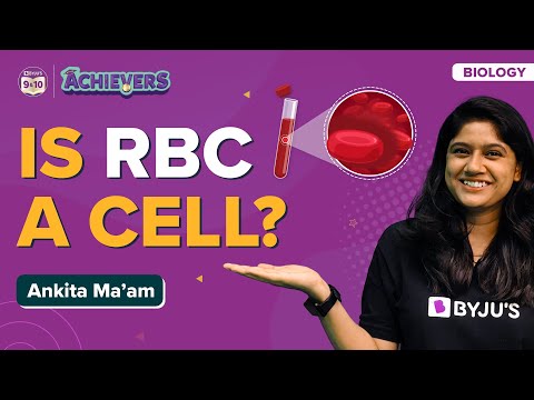 Which mature cells do not have a nucleus?
