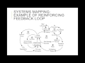 Systems Mapping