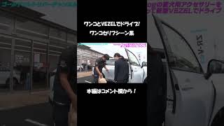 ワンコとVEZELでドライブ！ワンコセリフシーン集