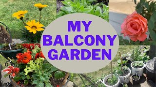 ଆମେରିକାରେ ମୋର ଛୋଟ ବଗିଚା | ମୋ Balcony Garden | My Kitchen Garden in USA | Odia Life in USA