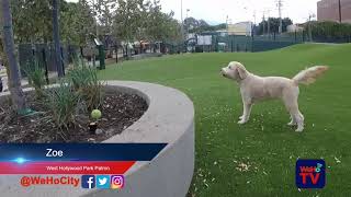 WeHoTV NewsByte: West Hollywood Park Dog Parks