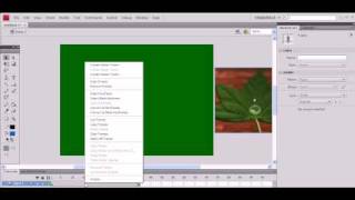flash tutorial 1.avi