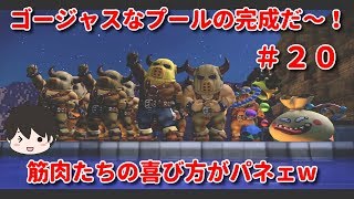 【ドラクエビルダーズ２】ゴージャスなプールの完成だ〜！筋肉たちの喜び方がパネェw＃２０（Nintendo Switch版）