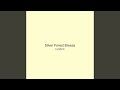 Silver Forest Breeze