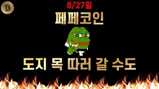 제2의 시바이누 페페코인 모 아니면 도 도지 목 따러 갈 수도