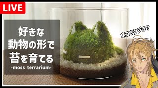 【作り方】動物型の苔アートを作ろう！ネコ編【中級者向け】 #VTuber #根無苔さくら