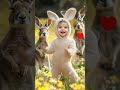 cute baby dance with a kangaroo friend.प्यारा बच्चा और कंगारू दोस्त के साथ नाच रहा है।