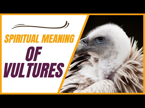 Are vultures a sign of death?