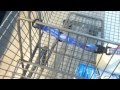 HEY REDDIT LOOK WHAT I FOUND AT WALMART.AVI