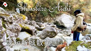 【鳴沢の滝】わんこと行く愛知新城散策　a trip to walk with the dog　narusawa waterfall  shinshiro-aichi-japan