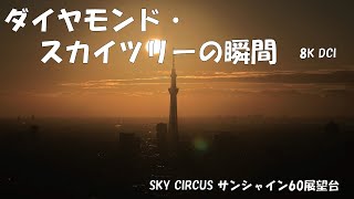 8K ダイヤモンド・スカイツリーの瞬間