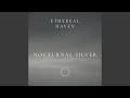 Nocturnal Silver