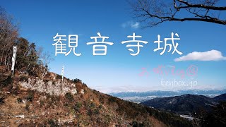 観音寺城〜お城Vlog⑭大石垣・大手石階段・椿、六角氏の権威を象徴した山城