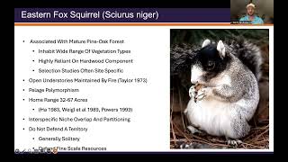 Individual Movement Application; Sciurus niger