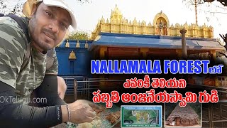 నల్లమల  పబ్బతి ఆంజనేయస్వామి గుడి || Maddimadugu Pabbathi Anjaneya Swamy Temple || Nallamala Forest