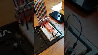 Raspberry Pi - coursera - week 4
