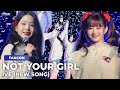 [NEW SONG] Not Your Girl - IVE (아이브) 2023 THE FIRST FAN CONCERT | PERFORMANCE