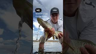 Utah Tiger Muskie Fishing #fishing #utah #outdoors #family #shorts