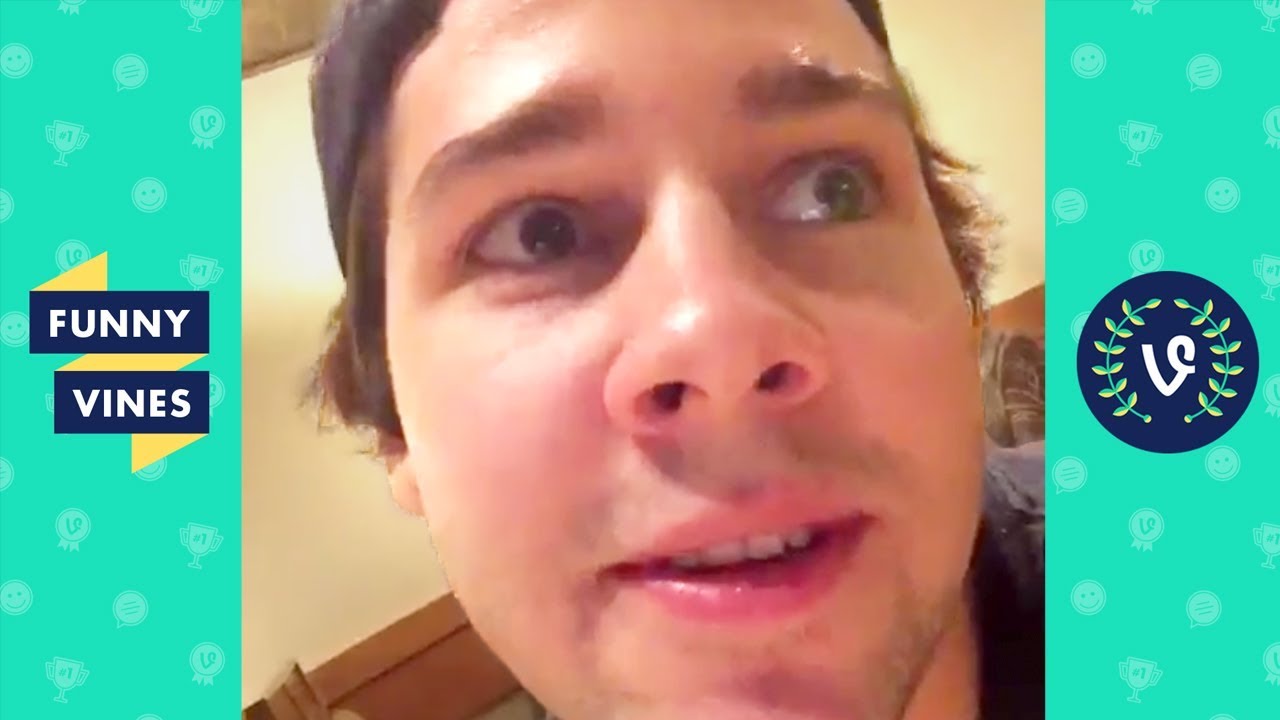 Funniest Best Vines Vine Fast Company
