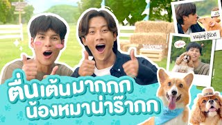 คัลเเลนและพี่จองชวนคุณมารู้จักกับ JerHigh MORE สูตร Grain Free 🐶🐶