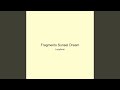 Fragments Sunset Dream