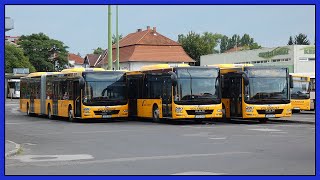 Új MAN Lion's City A23 (NG363) buszok Miskolcon