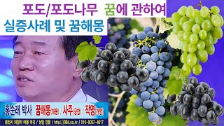 포도, 포도나무에 관한 꿈해몽 및 실증사례. 홍순래박사 TV(꿈해몽/사주/작명)