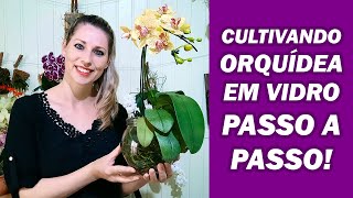 Como Cultivar Orquídea Phalaenopsis em Vidro