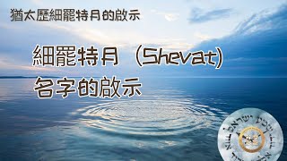 希伯来历细罢特月启示：细罢特月是一個充滿隱藏祝福的月份，就像樹木在我們看到果實之前就開始生長一樣，细罢特月是靈性成長和更深入妥拉理解的月份。