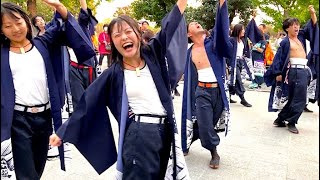 新芸組 遊駆人　2023 ドリーム夜さ来い祭り