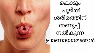 (Cooling pranayamas)ചൂട് കാലം ശരീരത്തെ തണുപ്പിക്കാം.. ഈ പ്രാണായാമത്തിലൂടെ