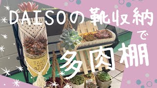 【多肉植物】ダイソー商品で２種類の多肉棚を作ってみた☺️✨