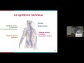 cours ouverts faculté de psychologie et des sciences de l éducation neurophysiologie