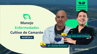 Cómo Prevenir y Tratar ENFERMEDADES en Camarón 🦐 | con Dr. Xavier Romero – Ep. #045